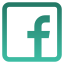 Facebook Ads